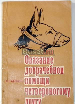 Оказание доврачебной помощи четвероногому другу Москва
