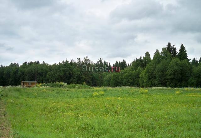 Участок 20 сот. в Гатчинском районе Санкт-Петербург