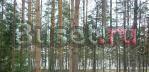 Колосково, участок Приозерск