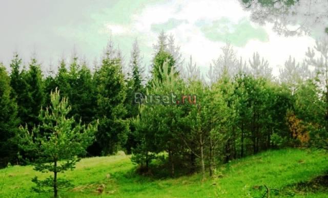 Участок близ Оки от 12 сот от 15 тыс руб/сотка Москва