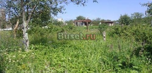 Дачный участок в Серпуховском районе Серпухов