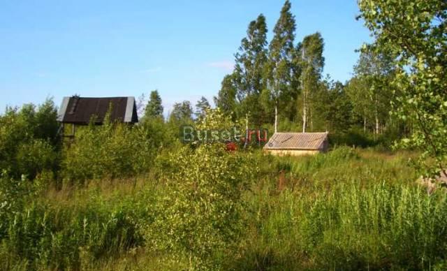 Д.Рахья, СНТ"Труд-2", садовый участок 8 сот Всеволожск