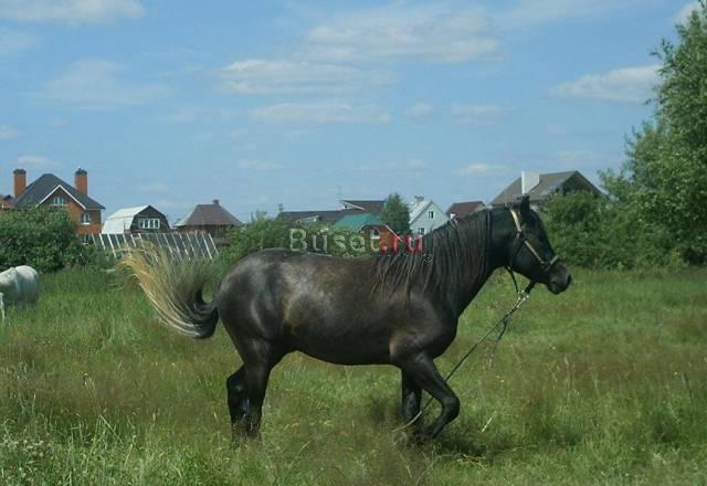 Продается  участок 15 сот. , н Москва