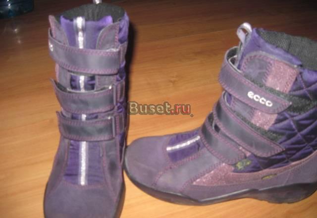Зимние сапоги ecco 37р-р Москва