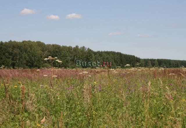 Продаю участки по 5 соток, собственник Москва