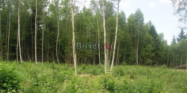 Участок 7 соток в красивом месте,киевское ш Москва