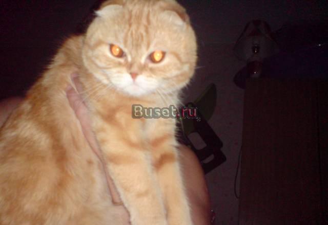 Приглашаем на вязку Челябинск