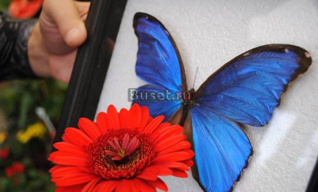 Экзотический интерьер вашего дома Москва