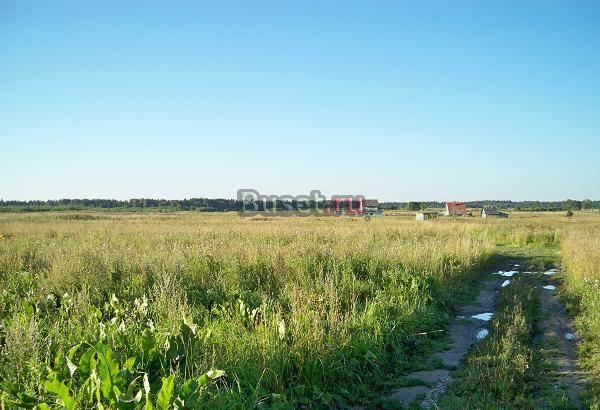 Ломоносовский р-н,п.Новая буря.лпх. Участок 25 сот Санкт-Петербург