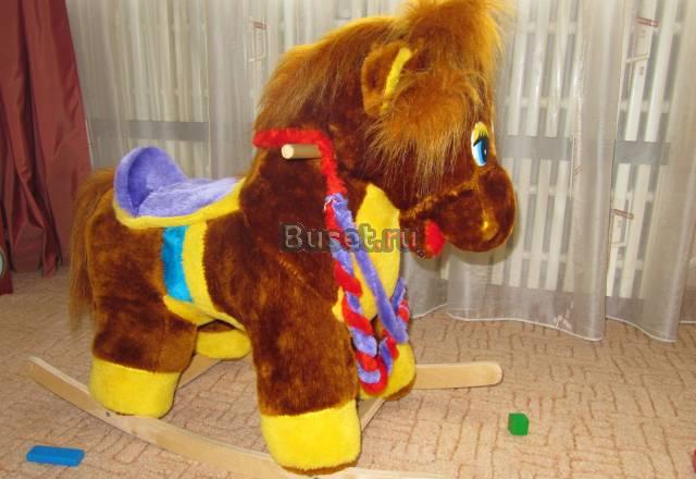 Лошадка Воронеж