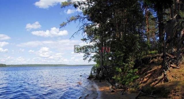 Участок 1,17 га под строительство на берегу озера Селижарово