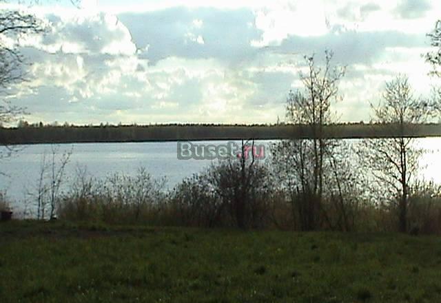 Кирпичный дом в красивой деревне, участок 54 сотки Пустошка