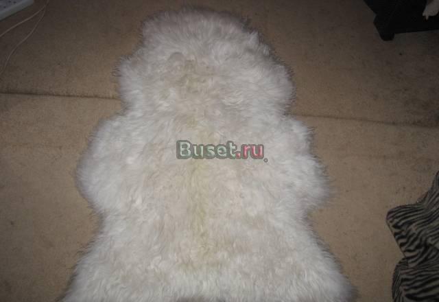 Шкура ламы Москва