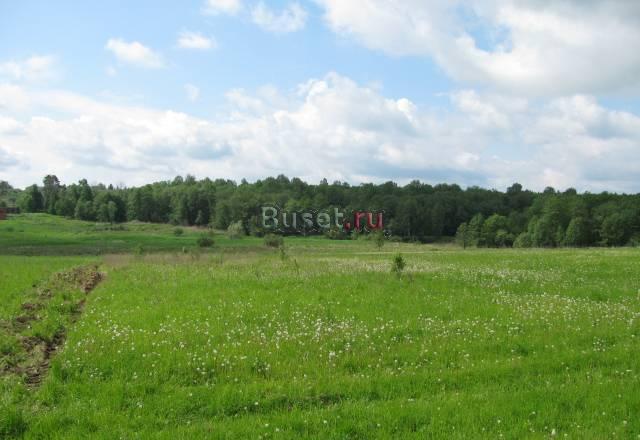 Участок 65 соток, пмж, деревня Новая Хотча Москва