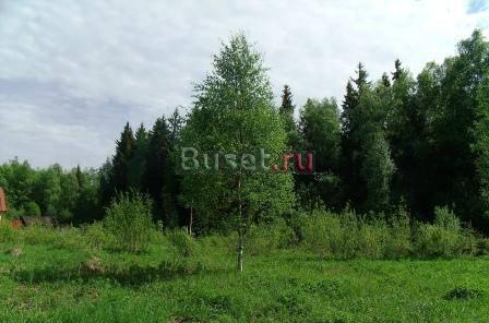 Участок 10 соток не далеко от Рощино Выборг