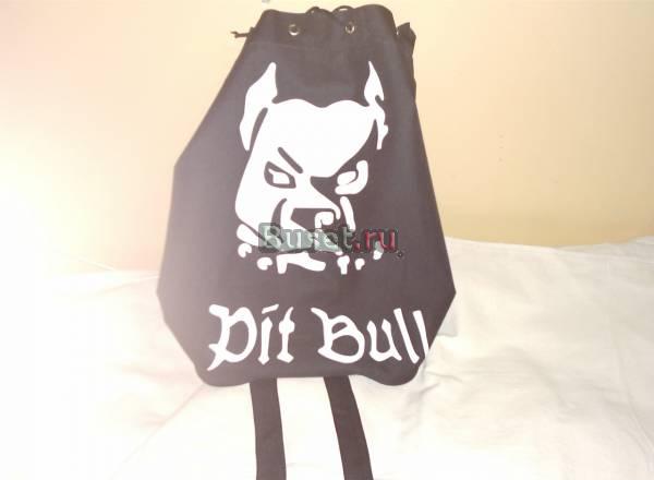 Рюкзаки с рисунками Санкт-Петербург