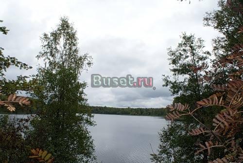 Небольшой домик с участком в деревне, почти даром Пустошка