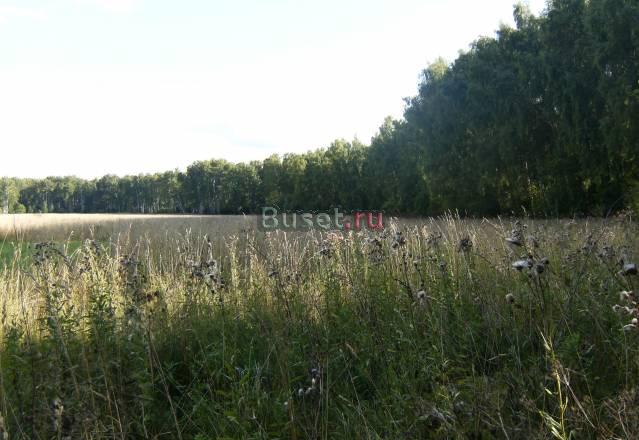 Земельный участок 10га Москва