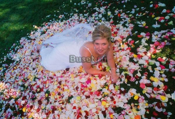 Красивая свадьба Москва