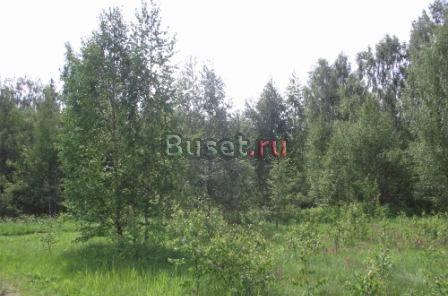 Земельный участок вблизи д. Романово Переславль-Залесский