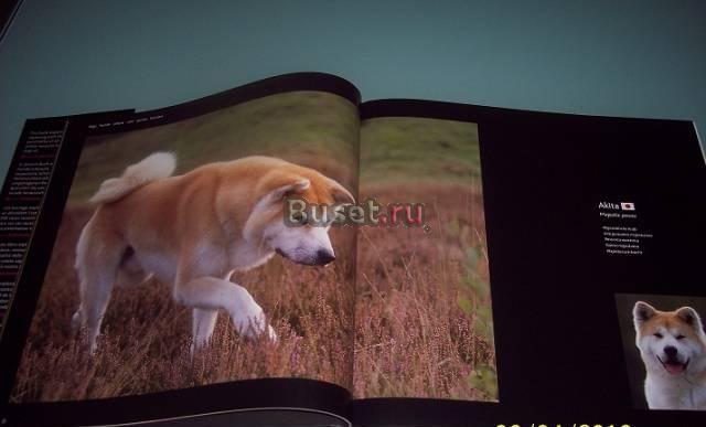 Книги по рукоделию, ветсправочники и др Москва