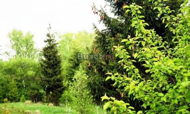 Участок Ижс 9,7 сот на Киевском 12 км. от МКАД Москва