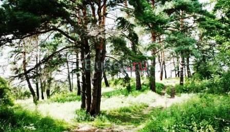 Участок от 6 соток, от 20 тыс рублей за сотку Москва