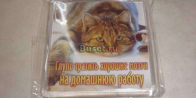 Глупо тратить хорошие мозги на домашнюю работу Москва