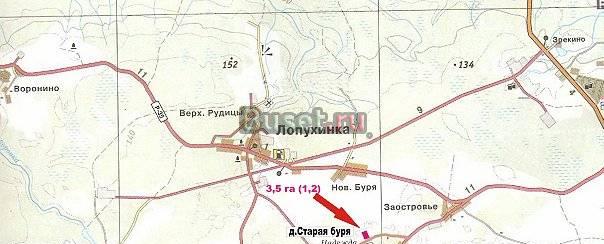 Участок 3 га с/х д.Лопухинка, у д. Старая Буря Гостилицы