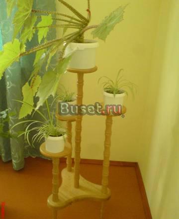 Полка для цветов Краснодар