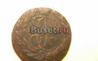 Монета 1765 года Самара