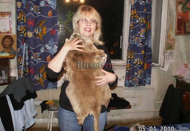 Шкура выдры Москва