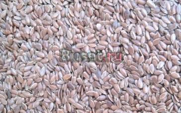 Семя льна Омск