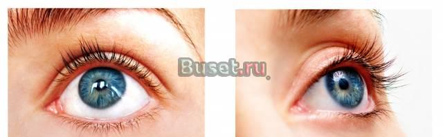 Evolash. Дешевле чем у других Москва