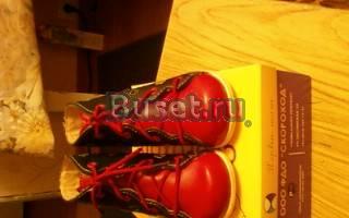 Новые ботиночки скороход,19 р-р Санкт-Петербург