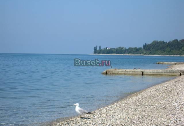 Частный сектор Гагра Москва