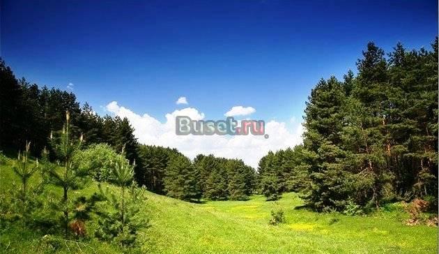 Участок ижс 9 соток 12 км от МКАД на Киевском Москва