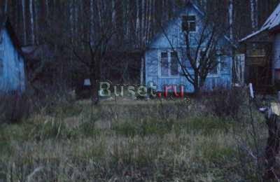 Дешевая дача в лесном массиве Электросталь