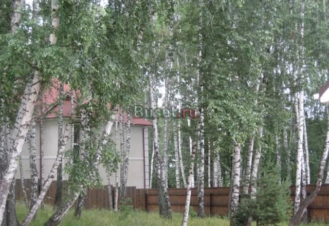 Участок 20,21,25 соток в березовой роще (55 км) Москва