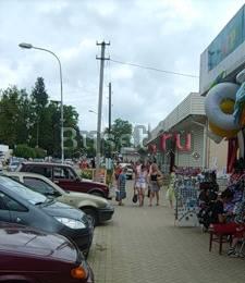 Семейный отдых в п. Лоо на берегу Черного моря Санкт-Петербург