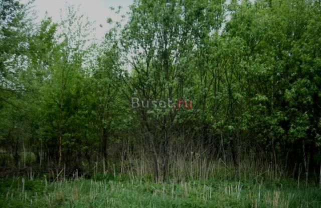 Участок 9(+9 ) с, 65 км от МКАД, Щелковское ш Москва