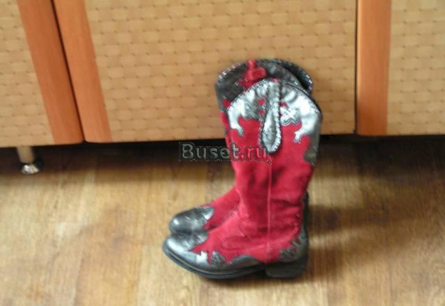 Стильные казаки-сапоги Москва