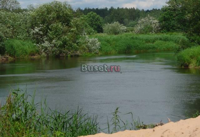 Участок в Трубниковом Бору Санкт-Петербург