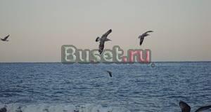 Семейный отдых в п. Лоо на берегу Черного моря Краснодар