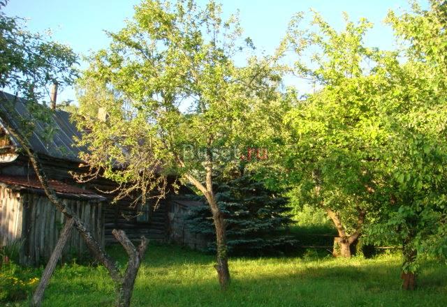 Дом в лесу Москва