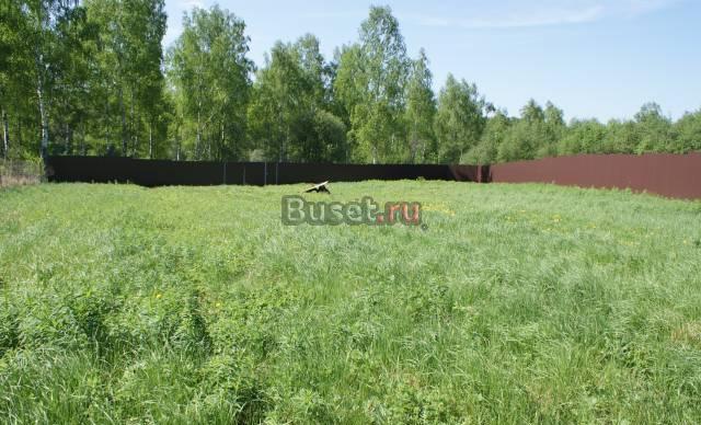 Участок пмж Александров