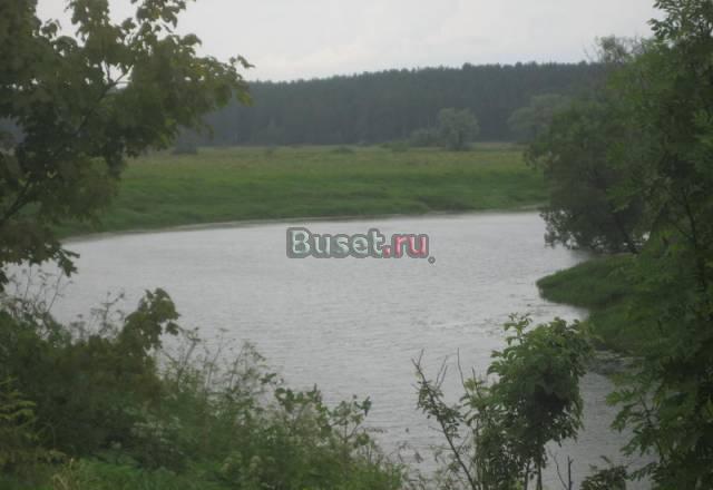 Участок 40 соток в селе Тиньково Жуков