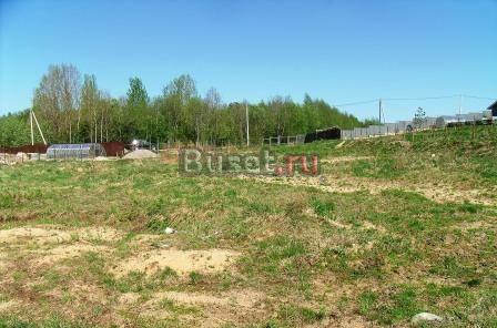 Участок 30 соток в пос. Светлое. (Коробицыно) Выборг