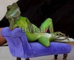 Перетяжка и ремонт сидений Санкт-Петербург