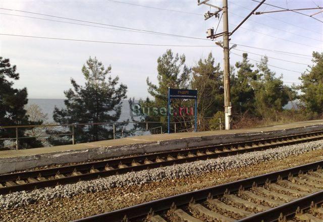 Участок под строительство санатория Сочи